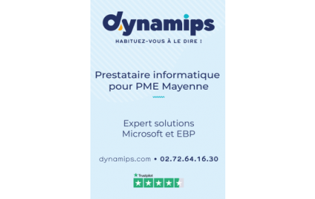 DYNAMIPS